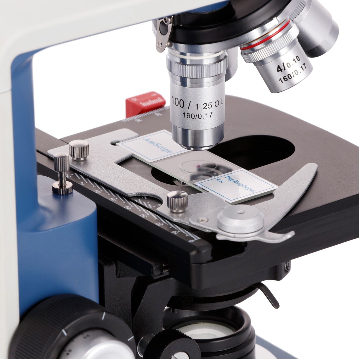 AmScope 40X-2500X 학생용 쌍안 복합 현미 - Microscope Compound 40X 리뷰 및 가격