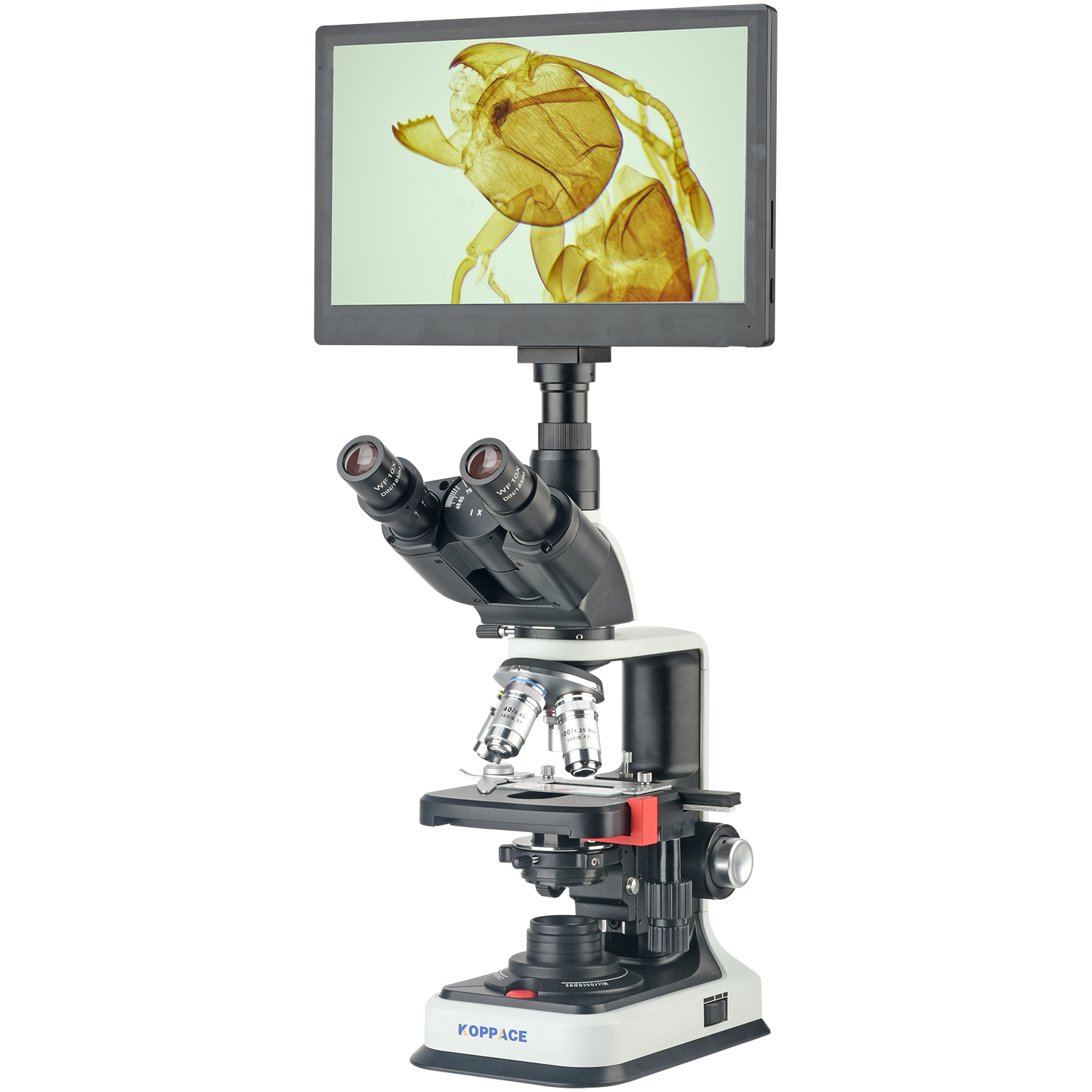KOPPACE 40X-2500X 전자 복합 실험실 현미 - Microscope Compound 40X 리뷰 및 가격