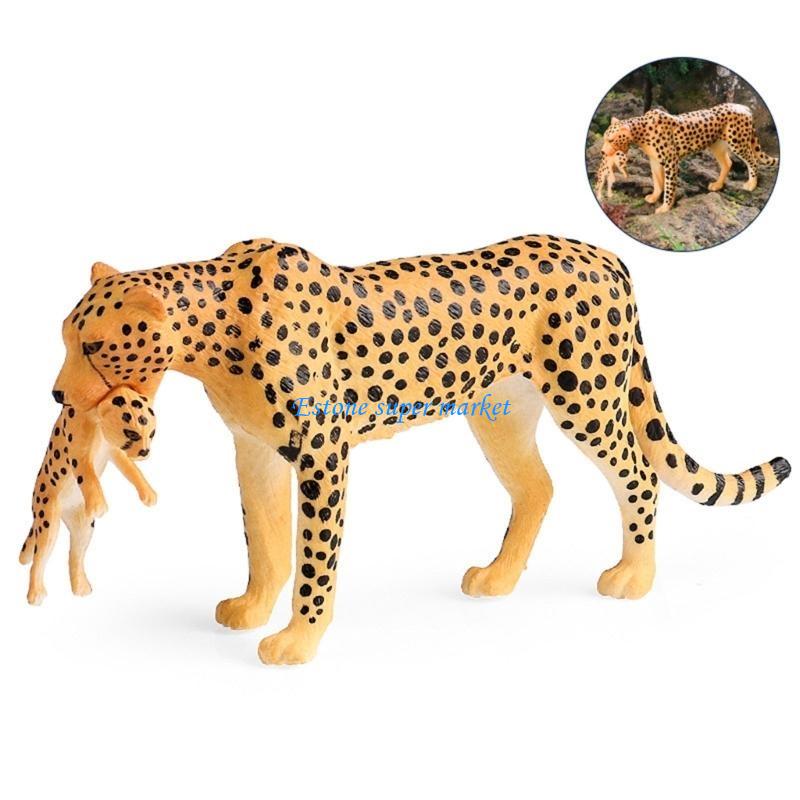 090B 교육용 디스플레이에 완벽한 상세한 치타 피규어 - Science Exhibition Models 리뷰 및 가격